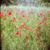 Jardin des Plantes, France