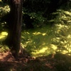 Central Park, NY