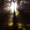 Westchester, New York