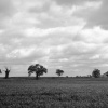 England