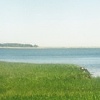 Cape Cod
