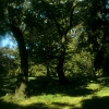 Central Park, NY