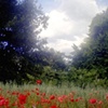 Jardin des Plantes, France
