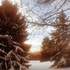 Tenafly, NY
