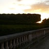 Tuileries