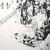 Verdant Tangle (detail)