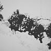 Sloping Cluster
