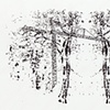 Sketch 5