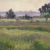 Georgia Marsh
