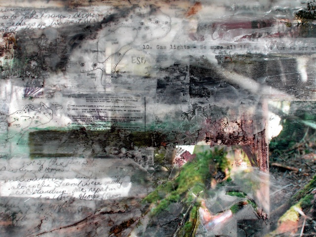 Detail, Study: Huron Trail just past Garden