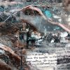 Detail, Study: Strand West