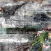 Detail, Study: Huron Trail just past Garden
