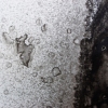Detail, Untitled
