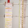 Detail, Project:  to collect, count and store collective memory