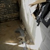 Detail, Untitled, Site-Specific Installation, William H. Cooper
