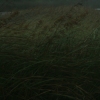 wind