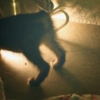 takkun