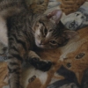 where's takkun?