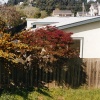 Santa Cruz