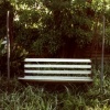 Bench and Bush