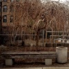 Bench and Building