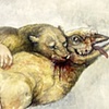 Animal Allegories