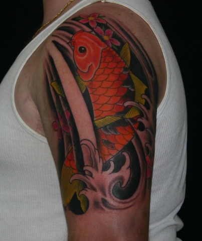 Koi