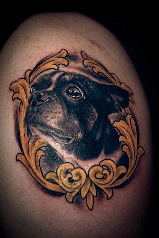 Brian's Boston Terrier "Duke"