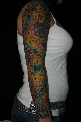 Dragon Sleeve