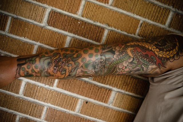 Jessie's Dragon/Foo Dog Sleeve #2