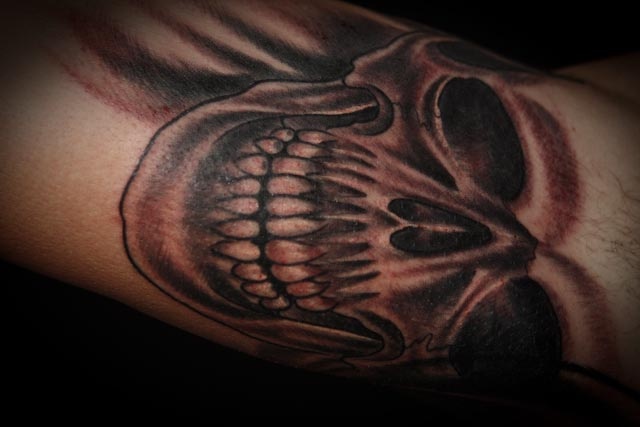 Scott's Skull