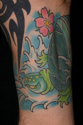 Doug's Turtle