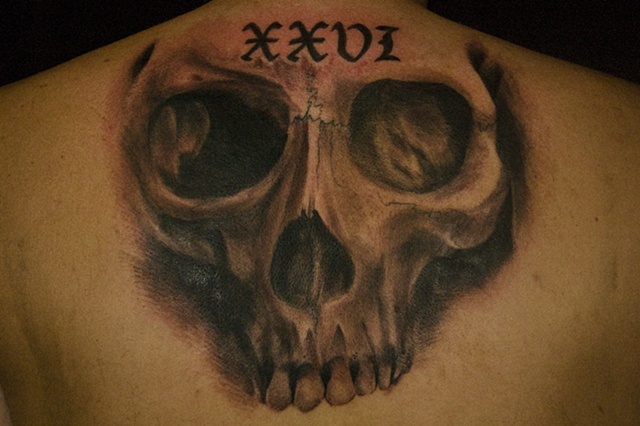 Skull Sketch