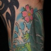 Doug's Turtle