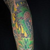 Noah's Dragon