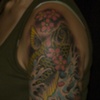 Koi