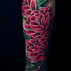 Shannon's Roses