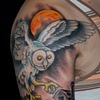 Rob's Barn owl and hare