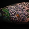 Curtis's Peonies