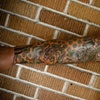 Jessie's Dragon/Foo Dog Sleeve #2
