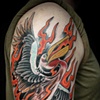 The Legendary Fire Pelican