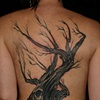 Alyssa's Tree