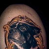 Brian's Boston Terrier "Duke"