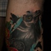 Raven
