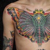 Bryce's Moth Cover-up