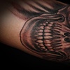 Scott's Skull