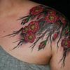 Johanna's Plum Blossoms