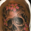Skull and Cherry Blossoms