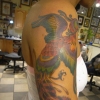 phoenix2