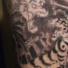 tiger aspect